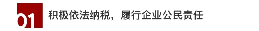 2021中国房地产百强企业研究报告