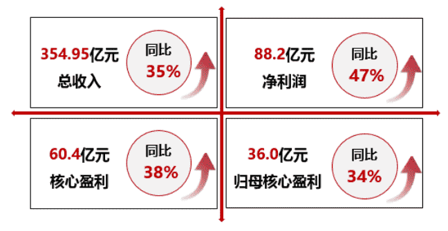 年报解读 