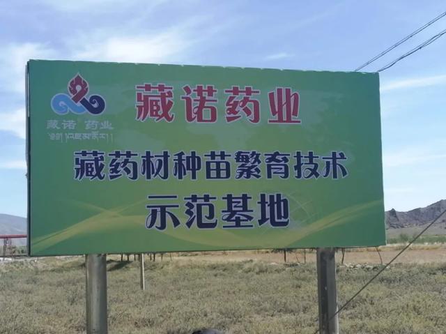 百年匠心的传承 玛丽皇后2号新装下水