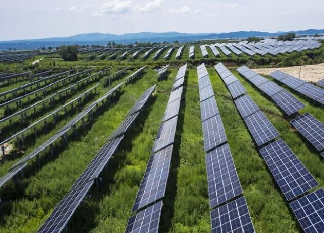 古吉拉特邦discoms签署了3979个2500兆瓦太阳能项目的协议