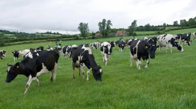 爱尔兰农业将不必像其他部门那样削减温室气体排放量